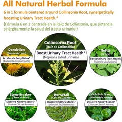 Collinsonia (Stone Root) Drops for Urinary Tract Health, Natural Herbal Formula