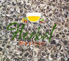 Semillas de Moringa, Moringa Seeds, Moringa oleifera Seeds, Organic moringa Seed