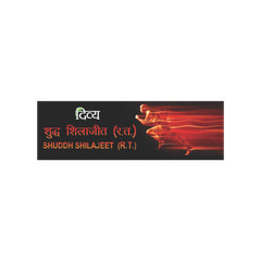 Divya Shilajeet Shuddh Shilajit 20 gm Fast Shipping