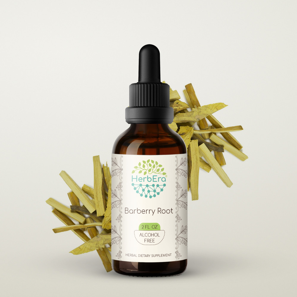 HerbEra Barberry Root Alcohol-FREE Tincture, Organic (Berberis Vulgaris)