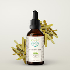 HerbEra Barberry Root Alcohol-FREE Tincture, Organic (Berberis Vulgaris)