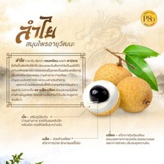 P80 Longan Essence Natural Extract 100% Body Balance Healthy Drink Boost 250 ml