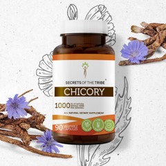 Secrets Of The Tribe Chicory Capsules, 500 mg