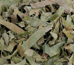 Persimmon Leaf 300g 10.5oz From Korea 감잎
