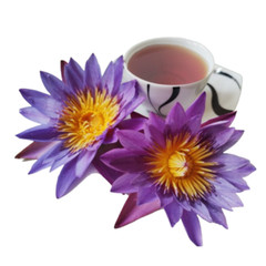 Dried Blue Lotus Nymphaea Caerulea Herbal Organic Hand Picked Flowers Tea Bags