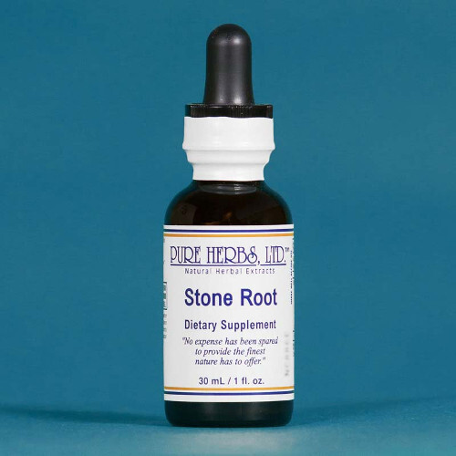 Pure Herbs: Stone Root – 1 oz.