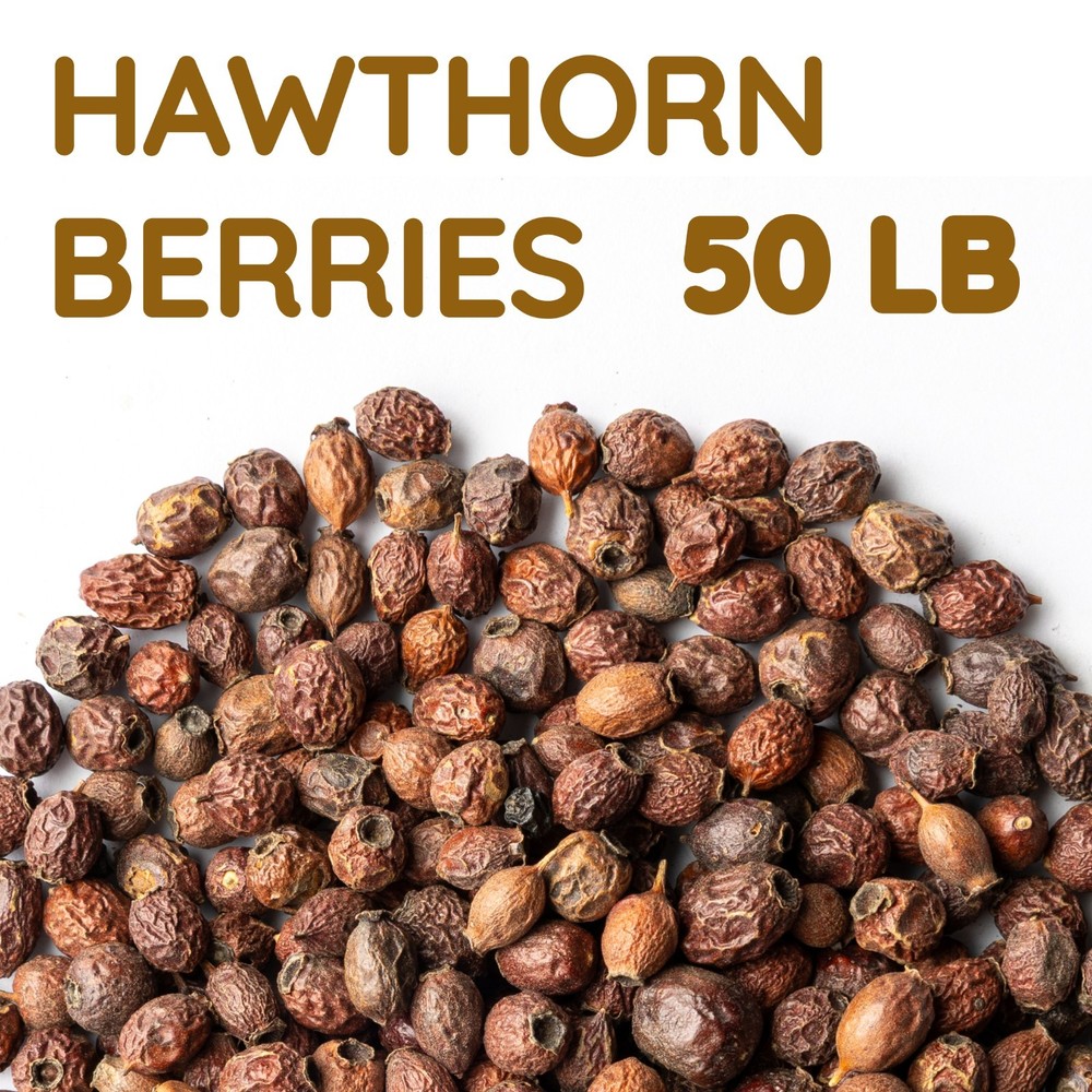 Whole Dried Hawthorn Berries 50 lb – Bulk Crataegus monogyna Herbal Ingredient