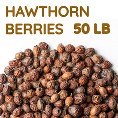 Whole Dried Hawthorn Berries 50 lb – Bulk Crataegus monogyna Herbal Ingredient