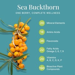 100% Pure Sea Buckthorn Berry Powder (200g)Source of Various Vitamins & Minerals