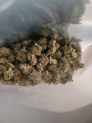 Dried Herbs