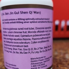 Golden Flower Jia Jian Jin Gui Shen Qi Wan Tablets 600mg R1523B 11/2027