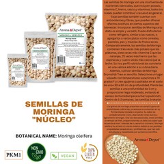 Moringa KERNELS 2 oz. Seeds oleifera Shelled 250 Semilla De Moringa Wholesale