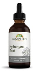 HYDRANGEA ROOT – Normal Urinary Tract & Hay Fever Support Tonic USA