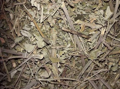 Burdock Root Organic Dried Cut Arctium Lappa 100% Natural ارقطيون