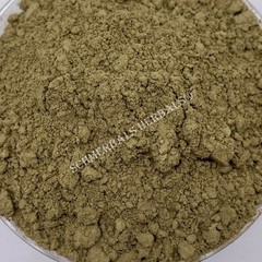 Stone Breaker, Phyllanthus urinaria, Plant Powder ~ Schmerbals Herbals
