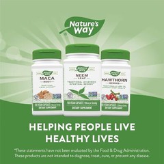 Neem Leaf 950 Mg Traditional Ayurvedic Intestinal Remedy Detox Liver, 100 Caps