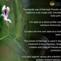 Kalmegh Powder Andrographis Paniculata Green Chiretta Help Detoxify Liver 5.3 oz