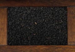 Organic Black Cumin Seed 1lb – USDA Certified Nigella Sativa Bulk Egyptian