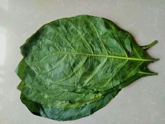 55+ Organic Dried Noni Leaves Herbal Morinda Citrifolia Indian Mulberry Tea