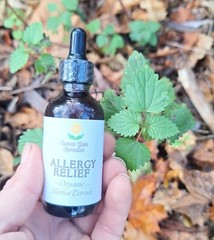 Allergy Relief Tincture / Extract 6 Herb Allergy & Immune Support Allergies