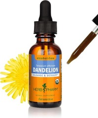 1 Fl Oz Certified Organic Dandelion Extract – Detoxifying Alcohol-Free Glycerite