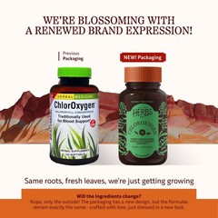 Herbs Etc. ChlorOxygen Chlorophyll Concentrate, 120 Softgels, 2 Pack