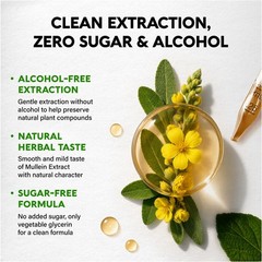 Organic Mullein Drops – 4 oz Liquid Extract for Lung Health & Respiratory Suppor