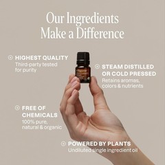 Cliganic Organic Essential Oils Set (Top 5 – The Classics) – 100% Pure Natural –