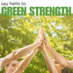 100% Pure Moringa Oleifera Leaf – Superfood, Antioxidant, Greens Supplement