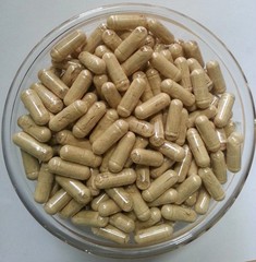 Fenugreek Extract + Piperine 95% Pure & High Quality Capsules