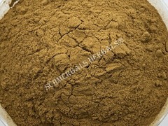 Damiana, Turnera diffusa, 100:1 Powder Extract ~ Schmerbals Herbals