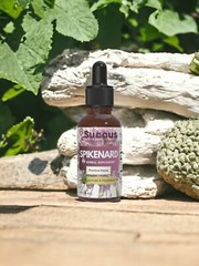 Spikenard Tincture – Nervous System