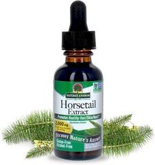Alcohol-Free Horsetail Herb Liquid Extract, 1oz – Supports Healthy Hair & Skin