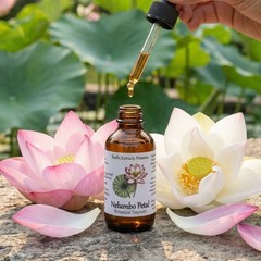 Sacred Lotus Herbal Tincture – Nelumbo Nucifera Flower Petal Liquid Extract
