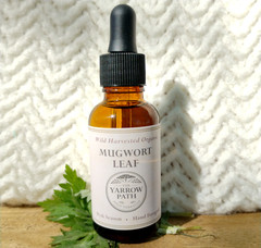 Organic Mugwort Tincture Fresh Artemisia Vulgaris Herbal Extract 1oz Bitter