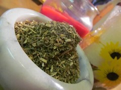 Agrimony Herb – Cut and Sifted