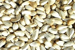 Patil Foods Safflower Seeds Whole (Carthamus Tinctorius) – Bird Feed,