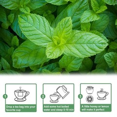 TEARELAE Spearmint Herbal Tea Bags 50 Count Caffeine Free