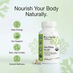USDA Organic Sea Moss Capsules – Pure Irish Sea Moss Bladderwrack Burdock Root