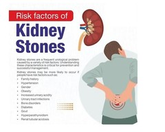 STONE BREAKER & MORE – BEST HERBAL FORMULA – KIDNEY&STONES – MADE IN USA