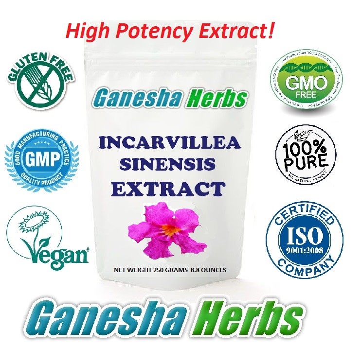 INCARVILLEA SINENSIS EXTRACT POWDER HIGH POTENCY 8.8 OZ. BULK LEGAL PAIN KILLER