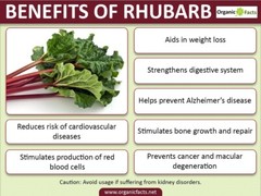 Rhubarb Tincture- Clears Infections, Soothes Bowels, Expels Parasites from body.