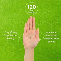 Mullein Leaf 20,000Mg, 240 Veggie Capsules – 20:1 Max Strength Leaf Extract NEW