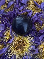 Blue Lotus Resin (Nymphaea Caerulea) Organic