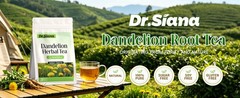 Dr. Siana Dandelion Root Tea Bags，Burdock Root Tea & Green Tea，5g x 30 Teabags –