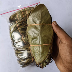 Dried Soursop Graviola Leaves Herbal Tea 100% Organic Hojas De Guanabana Leaf