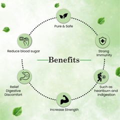 Cipzer Bitter Melon 30Capsule |Natural Blood Sugar Support |Powerful Antioxidant