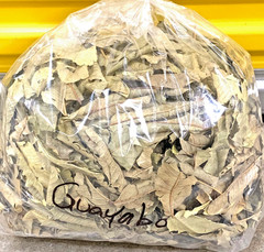 Hoja de Guayaba / Guava Leaves Tea