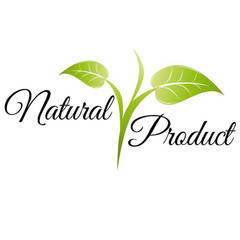 Bloodroot Tincture, Wild Organic Sanguinaria Canadensis Herbal Extract