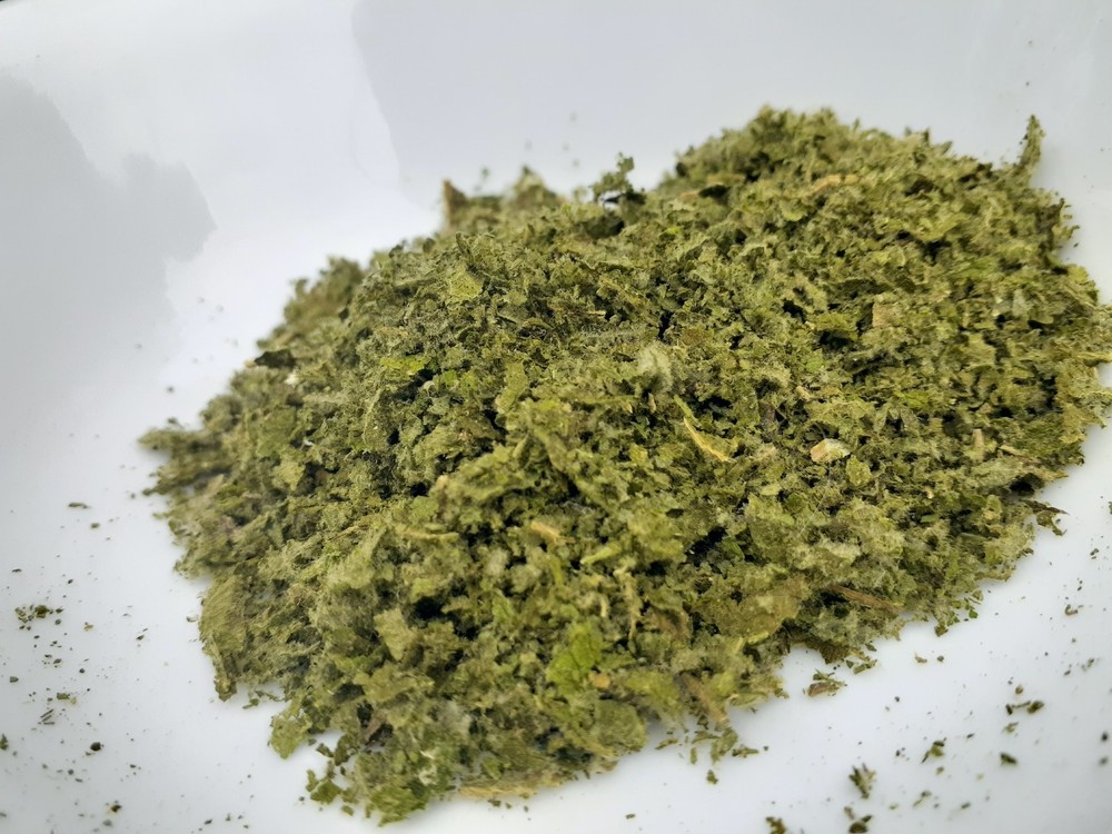 Mullein Leaf Garden Grown Pesticide Free Permaculture Soil 100% Organic USA Made